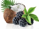 Mykgjørende kokosolje og vitaminrike bjørnebær thumbnail