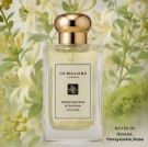Jo Malone Honeysuckle & Davana 100ml cologne  thumbnail