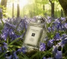 Jo Malone Wild Bluebell 100ml cologne thumbnail