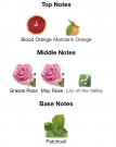 Dior Miss Dior edt 100ml thumbnail