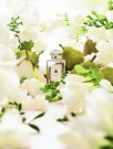 Jo Malone English Pear & Freesia 100ml cologne thumbnail