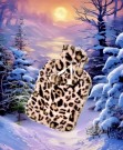 Varmeflaske Rosa Leopard Pels  thumbnail