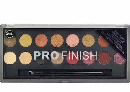 Technic Pro Finish Eyeshadow Hidden Treasures