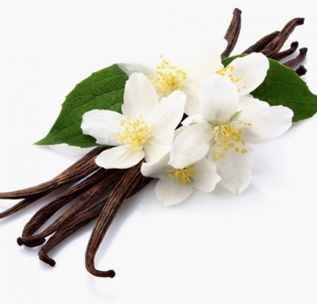 Fremtredende sensuell vanilje og jasmin